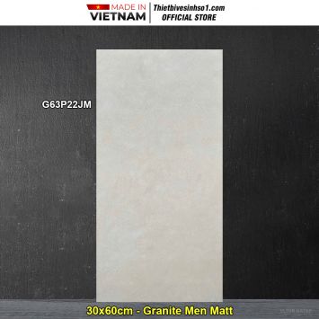 Gạch 30x60 Taicera G63P22JM