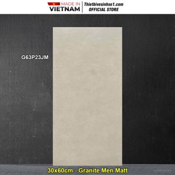 Gạch 30x60 Taicera G63P23JM