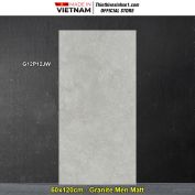 Gạch 60x120 Taicera G12P12JW Vân Xám