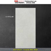 Gạch 60x120 Taicera G12P22JM Vân Xám Kem