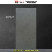 Gạch 60x120 Taicera G12P28JM Vân Ghi