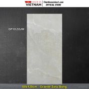 Gạch 60x120 Taicera GP12L53JW Vân Đá Xám