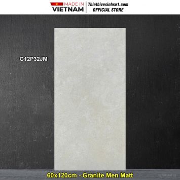 Gạch 60x120 Taicera G12P32JM Vân Xám Kem