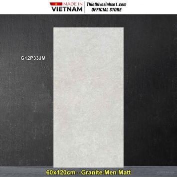 Gạch 60x120 Taicera G12P33JM Vân Xám