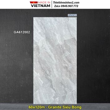 Gạch 60x120 Thắng Cường GA612002 Vân Đá