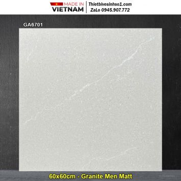 Gạch 60x60 Thắng Cường GA6701