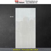 Gạch 40x80 Thắng Cường 4816