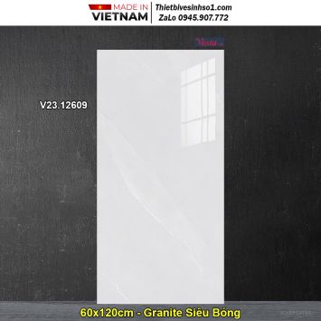 Gạch 60x120 Thắng Cường V23.12609 Đá Xám