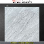 Gạch 60x60 Thắng Cường 6924 Vân Xám Xanh