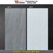 Gạch 40x80 Thắng Cường 4813-4814