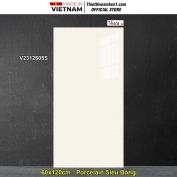 Gạch 60x120 Thắng Cường V2312605S