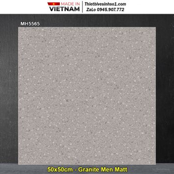 Gạch 50x50 Trung Đô MH5565