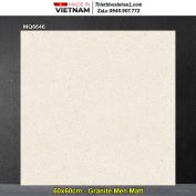 Gạch 60x60 Trung Đô MQ6646