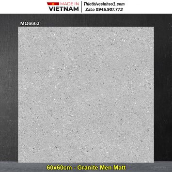 Gạch 60x60 Trung Đô MQ6663