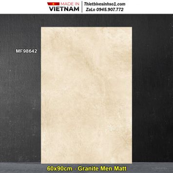 Gạch 60x90 Trung Đô MF98642