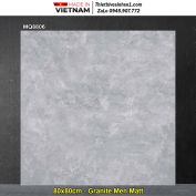 Gạch 80x80 Trung Đô MQ8806