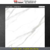 Gạch 1,2m x 1,2m Trung Đô Calacatta-TP007D12