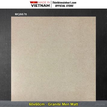 Gạch 60x60 Trung Đô MQ6676