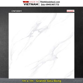 Gạch 1m x 1m TTC CN10001 Trắng Khói