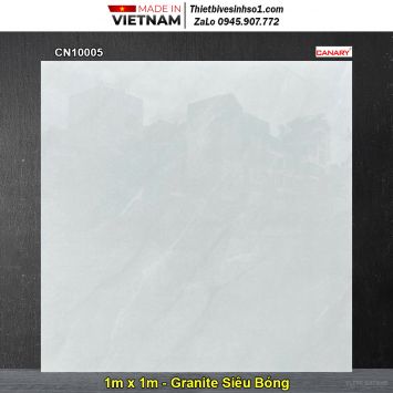 Gạch 1m x 1m TTC CN10005 Vân Xám