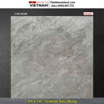 Gạch 1m x 1m TTC CN10006 Vân Đá Ghi