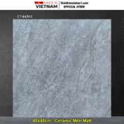 Gạch 40x40 TTC CT44203 Vân Xám