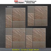 Gạch 60x60 TTC SV66001 Lát Sân