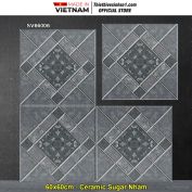 Gạch 60x60 TTC SV66006 Lát Sân