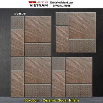 Gạch 60x60 TTC SV66001 Lát Sân