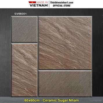 Gạch 60x60 TTC SV66001 Lát Sân