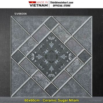 Gạch 60x60 TTC SV66006 Lát Sân