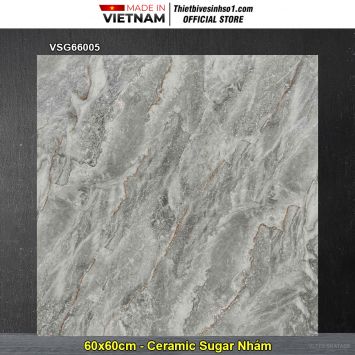 Gạch 60x60 TTC VSG66005 Vân Ghi Xám