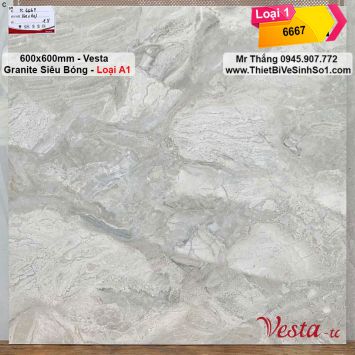 Gạch 60x60 Vesta 6667