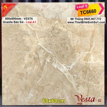 Gạch 60x60 Vesta TC6660