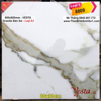 Gạch lát Vesta 80x80 mã 8809