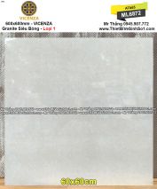 Gạch 60x60 VICENZA ML6872