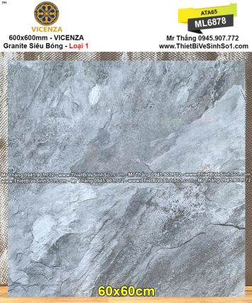 Gạch 60x60 VICENZA ML6878