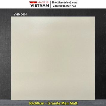 Gạch 60x60 VID VHM6601