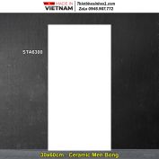 Gạch 30x60 Việt Nam STA6300 Trắng Trơn