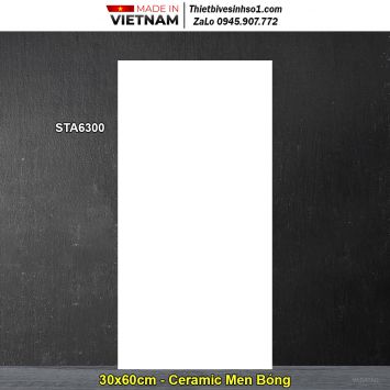 Gạch 30x60 Việt Nam STA6300 Trắng Trơn