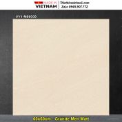 Gạch 60x60 Việt Ý VY1-M66009