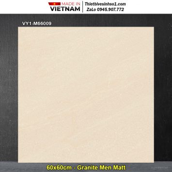 Gạch 60x60 Việt Ý VY1-M66009