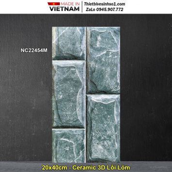 Gạch Thẻ Trang Trí 20x40 Vitaly NC22454M