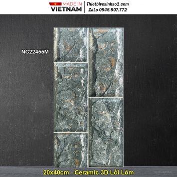 Gạch Thẻ Trang Trí 20x40 Vitaly NC22455M