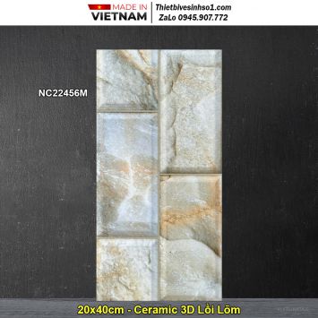 Gạch Thẻ Trang Trí 20x40 Vitaly NC22456M