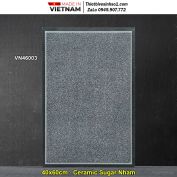 Gạch 40x60 VNHome VN46003 Lát Sân