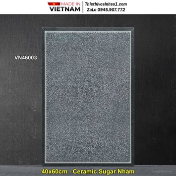 Gạch 40x60 VNHome VN46003 Lát Sân