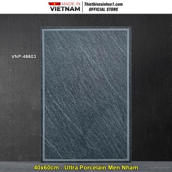 Gạch 40x60 VNHome VNP-46603