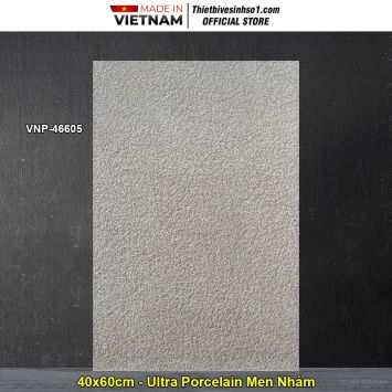 Gạch 40x60 VNHome VNP-46605