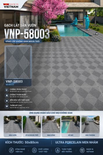 Gạch 50x80 VNHome VNP-58003